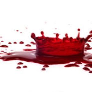 Meet your Posher, Jada